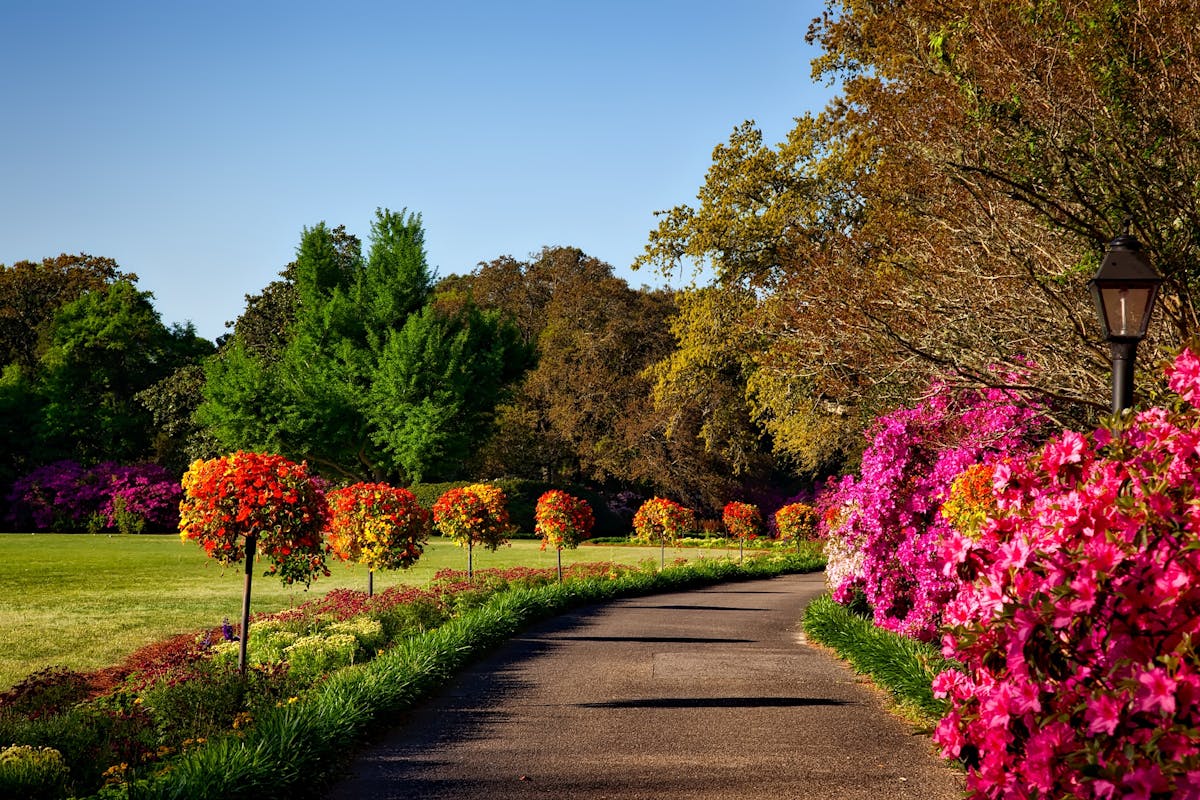 Brookgreen Gardens – Garden Path